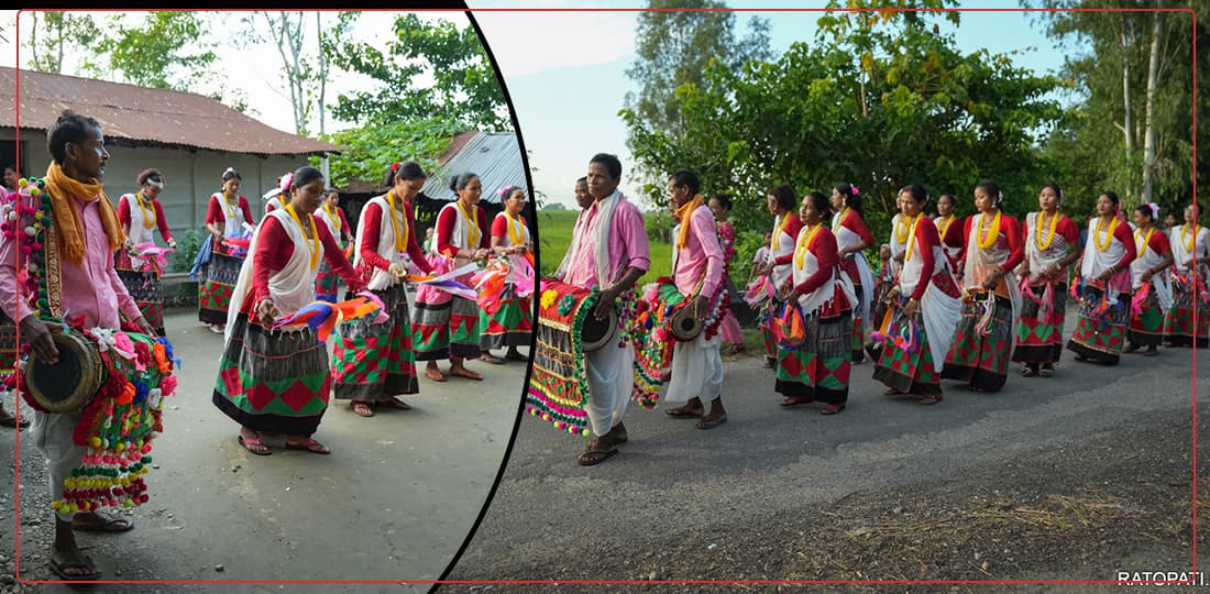 माइतीमा दाउरा लैजाने चलन हरायो माघीमा थारू समुदायमा