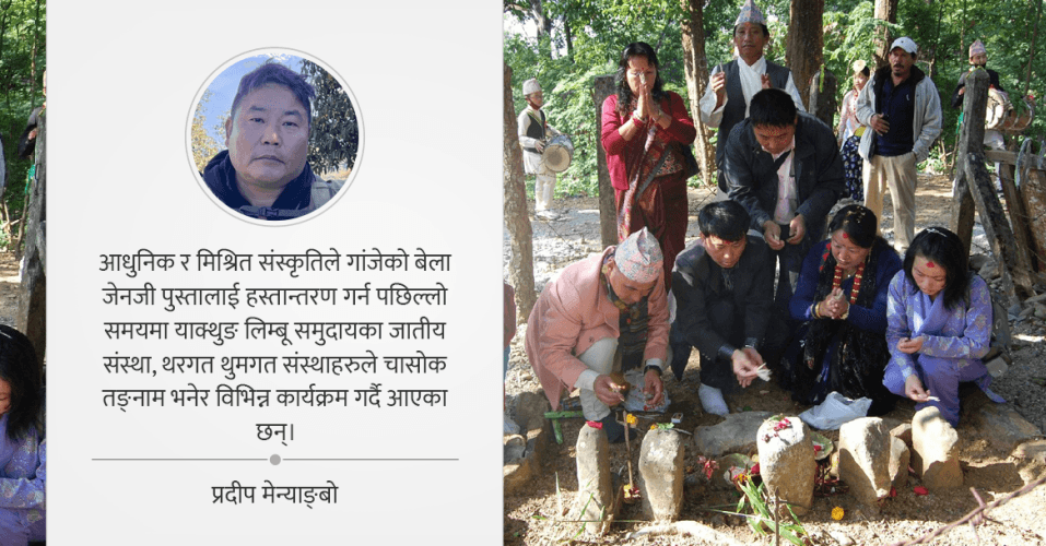 लेकमा पैयुँ फुलेपछि चासोक थिसोकको लहर
